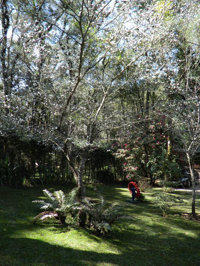 Recanto Dos Kerr Monte Verde  Luaran gambar